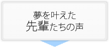 夢を叶えた先輩たちの声