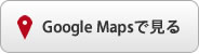 Google MapsŌ
