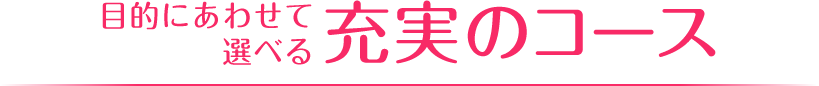 目的にあわせて選べる充実のコース