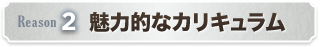 魅力的なカリキュラム