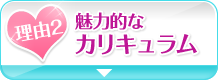 魅力的なカリキュラム