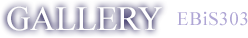 GALLERY / EBi303