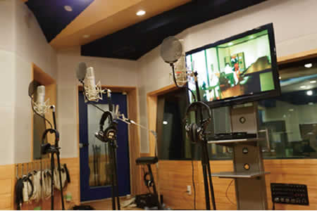 幅広い活躍の場 声優が人気の理由